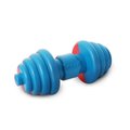 Pet Life Pet Life DT17RDB Iron Wag Water Floating Chew & Fetch Dog Toy; Red & Blue - One Size DT17RDB